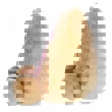 LOGIGRAF/LGF-459963-14805148