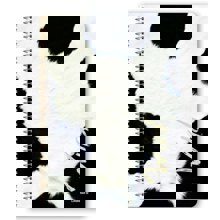 LOGIGRAF/LGF-469707-14747334
