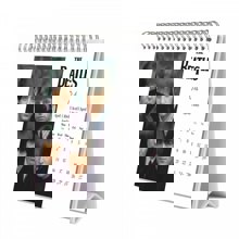 LOGIGRAF/LGF-484166-14800647