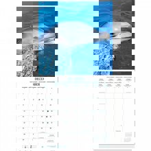 LOGIGRAF/LGF-489854-14797981