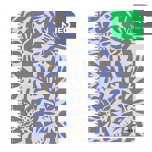 LOGIGRAF/LGF-493263-14798536