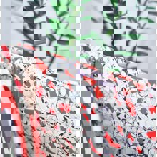 LOGIGRAF/LGF-493974-14799868