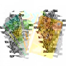 LOGIGRAF/LGF-498988