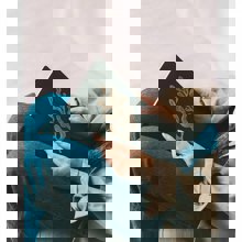 LOGIGRAF/LGF-501190-14838912