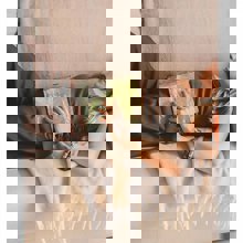 LOGIGRAF/LGF-506359-14832799