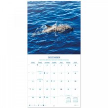 LOGIGRAF/LGF-524606-14894834