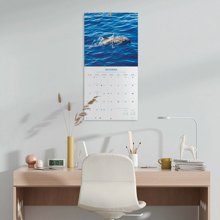 LOGIGRAF/LGF-524606-14894849