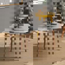 MEGAPAP/MP-254966