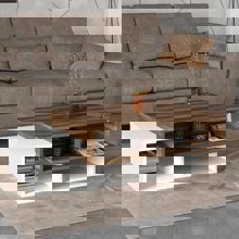 MEGAPAP/MP-333480