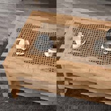 MEGAPAP/MP-333498-14519280