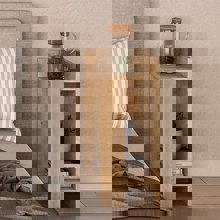 MEGAPAP/MP-393134-14593547