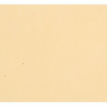 NEXT/ΝΕΧΤ-252325