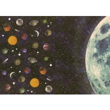 NEXT/ΝΕΧΤ-252918