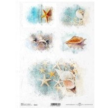 NEXT/ΝΕΧΤ-256263