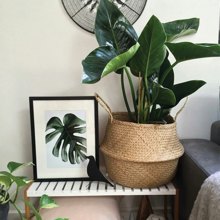 NEXT/ΝΕΧΤ-259994-14739256