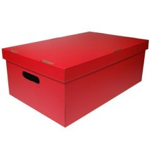 NEXT/ΝΕΧΤ-441507