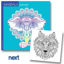 NEXT/ΝΕΧΤ-442832