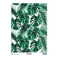NEXT/ΝΕΧΤ-443386