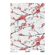 NEXT/ΝΕΧΤ-443418
