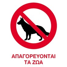 NEXT/ΝΕΧΤ-443546