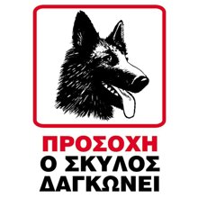 NEXT/ΝΕΧΤ-443582