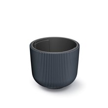 NEXT/ΝΕΧΤ-445408