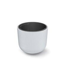 NEXT/ΝΕΧΤ-445423