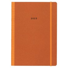 NEXT/ΝΕΧΤ-457539.jpg