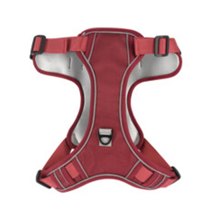 NEXT/ΝΕΧΤ-496383