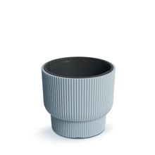 NEXT/ΝΕΧΤ-498050
