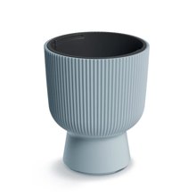 NEXT/ΝΕΧΤ-498057