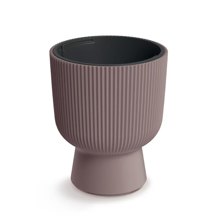 NEXT/ΝΕΧΤ-498066