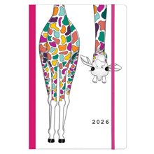 NEXT/ΝΕΧΤ-507646