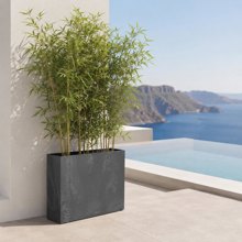 NEXT/ΝΕΧΤ-544012-14986408