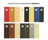 ODARIOA_335