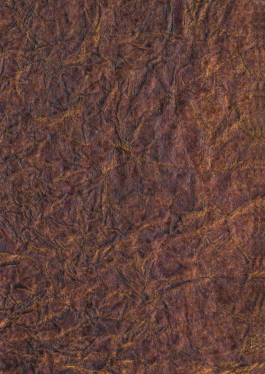 PA/PA-310219.jpg