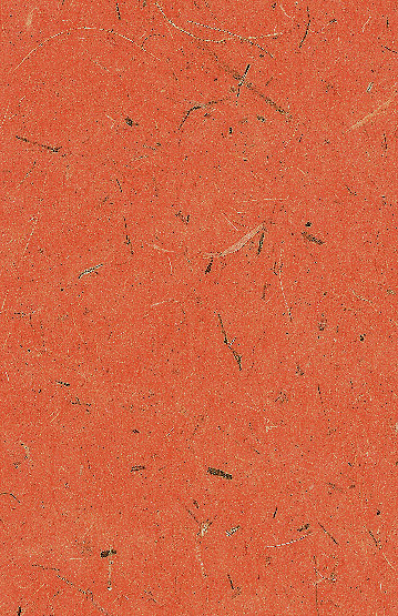PA/PA-310221