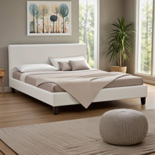PAKETO/PK-44909-14500484