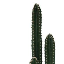 PAKETO/PK-456778-14719434