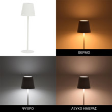 PAKETO/PK-488177-14788459