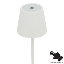 PAKETO/PK-488177-14788682