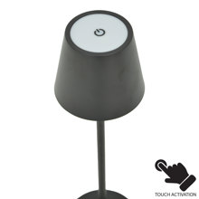 PAKETO/PK-488179-14788678