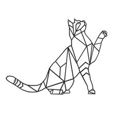 PAKETO/PK-537422.jpg
