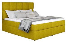 PH-331729-7-4-2023.jpg