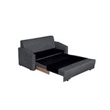 RENE-1045-ASH-2