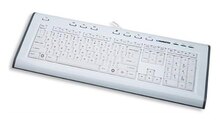 ZYM/ZYM-290273