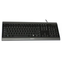 ZYM/ZYM-290416