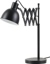 ZYM/ZYM-86793