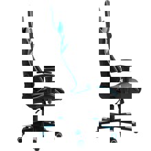 ZYMARIDIS/ZYM-266874-14631870