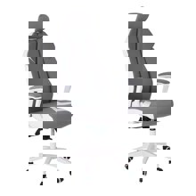 ZYMARIDIS/ZYM-267187-14630393